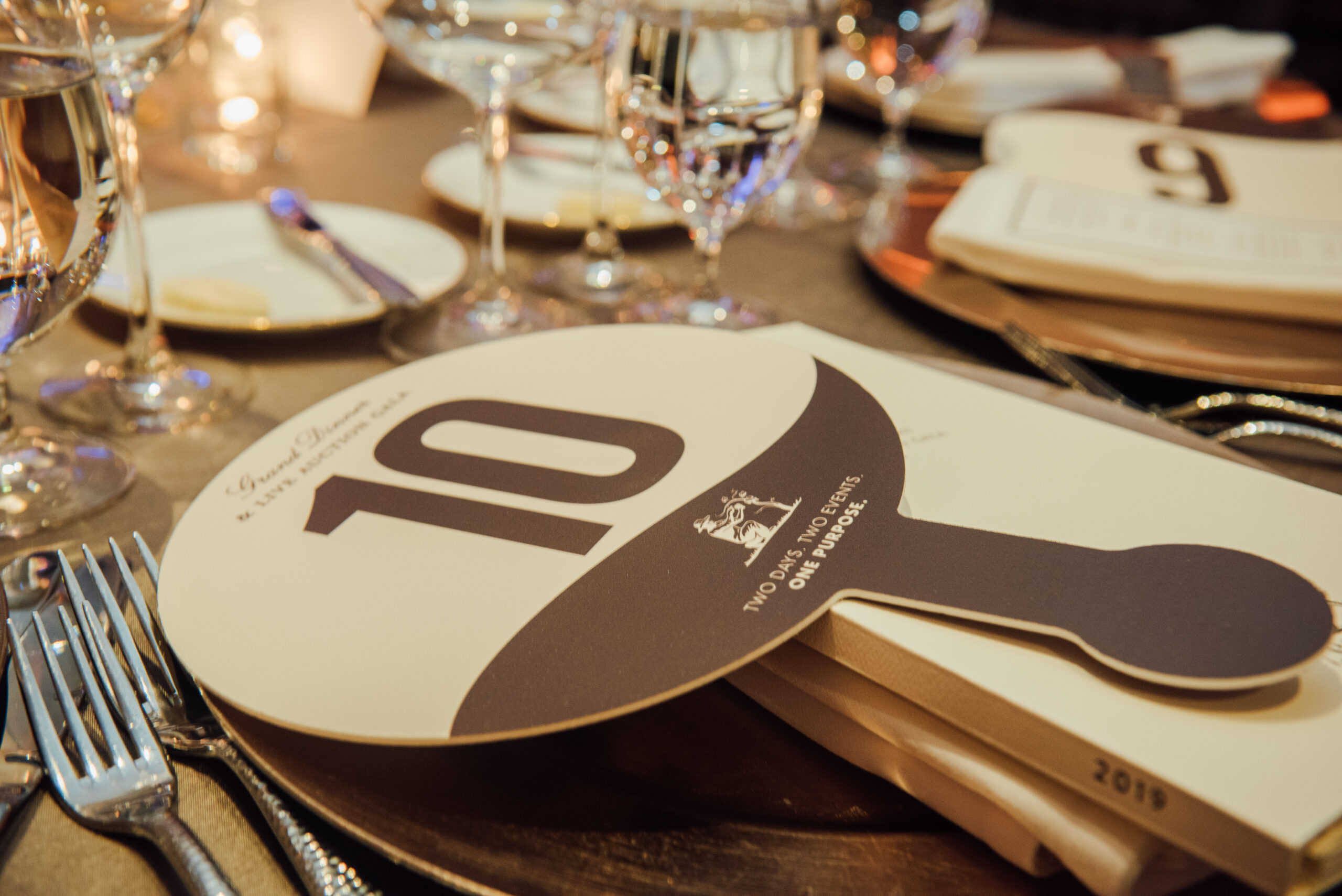 SALUD_Domaine_Serene-7113 Auction paddle