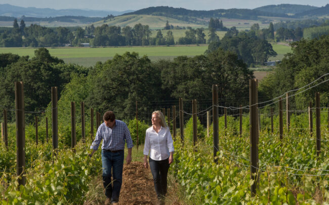Two people walking in a vineyard