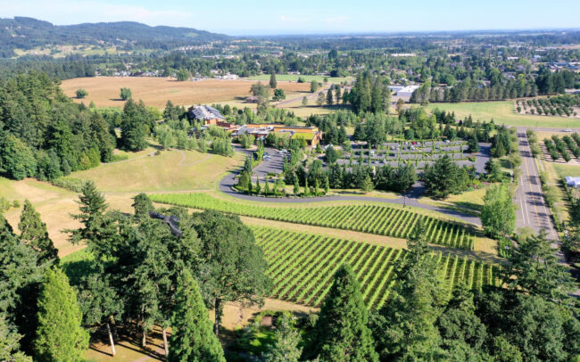Aerial View of the Rain Dance Winery