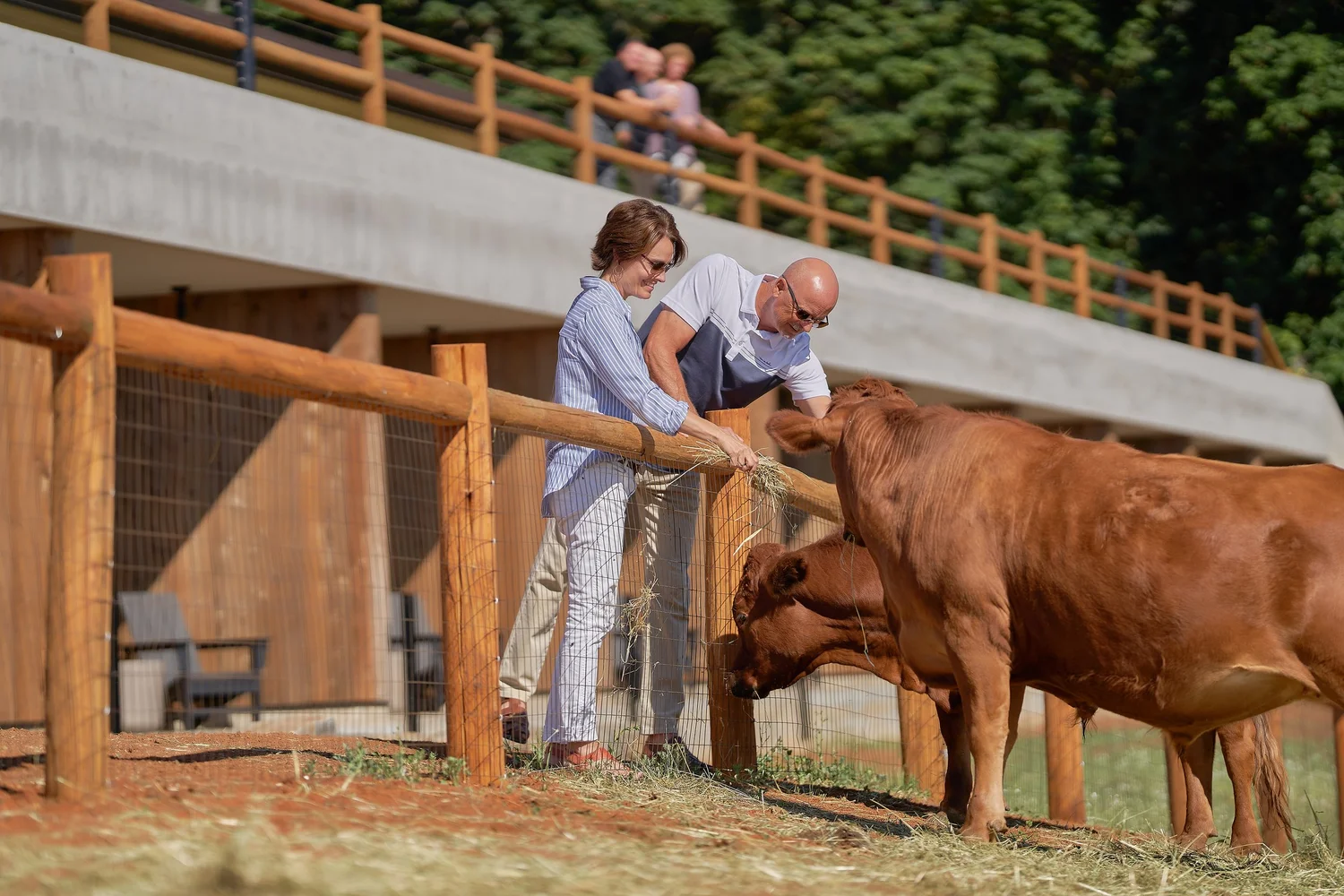 23014+Inn+the+Ground+B+1237