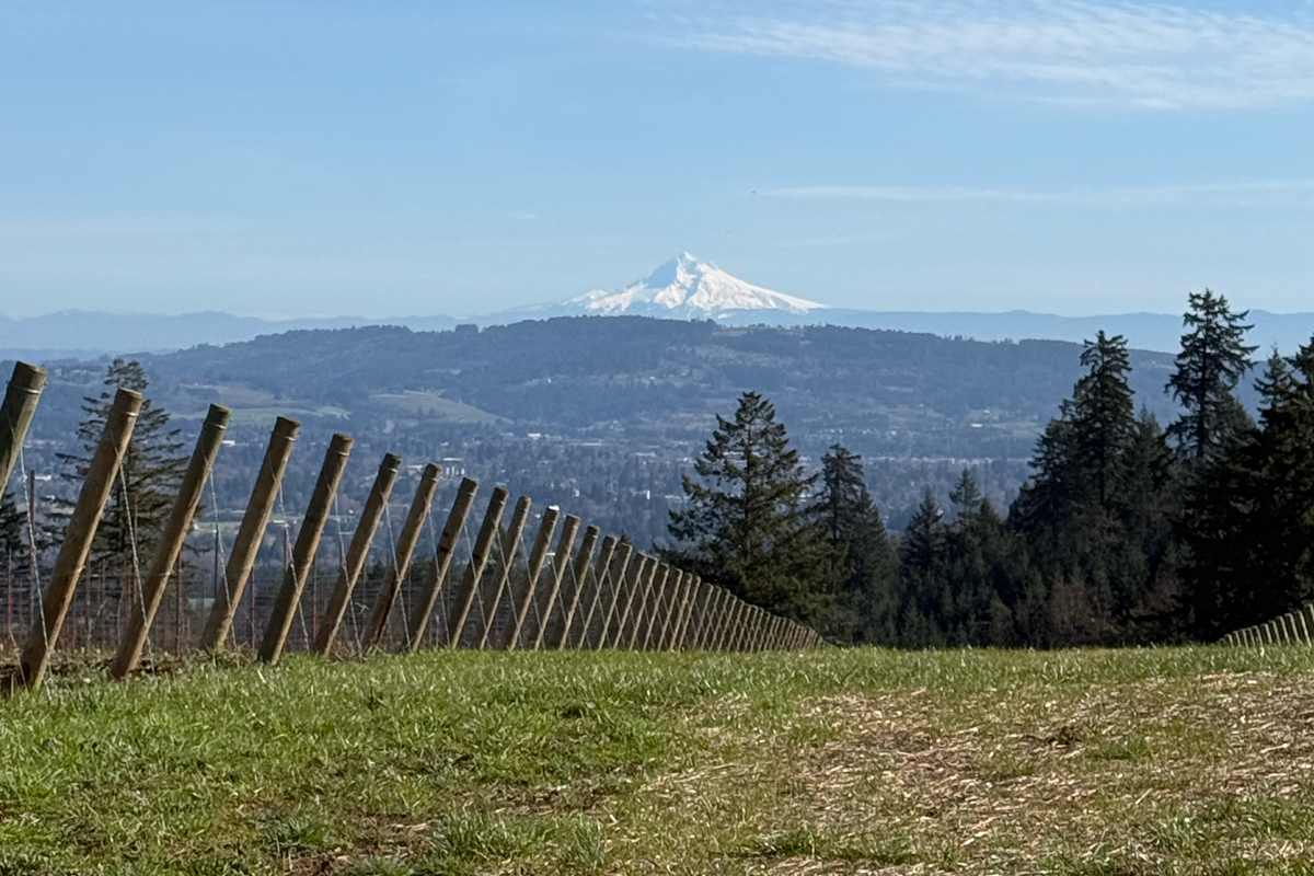 Perlee Vineyard Pic1