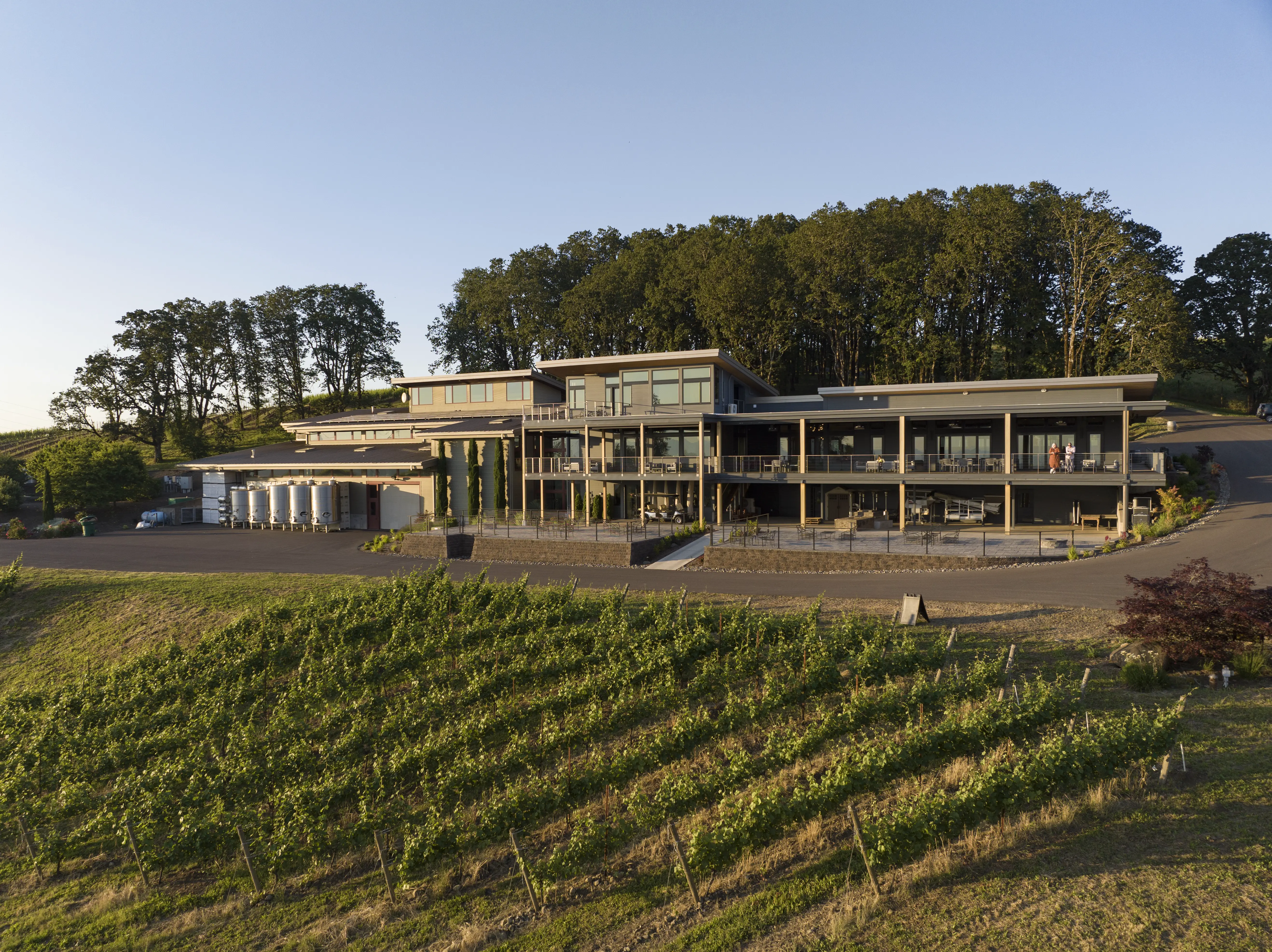 Alexana Winery