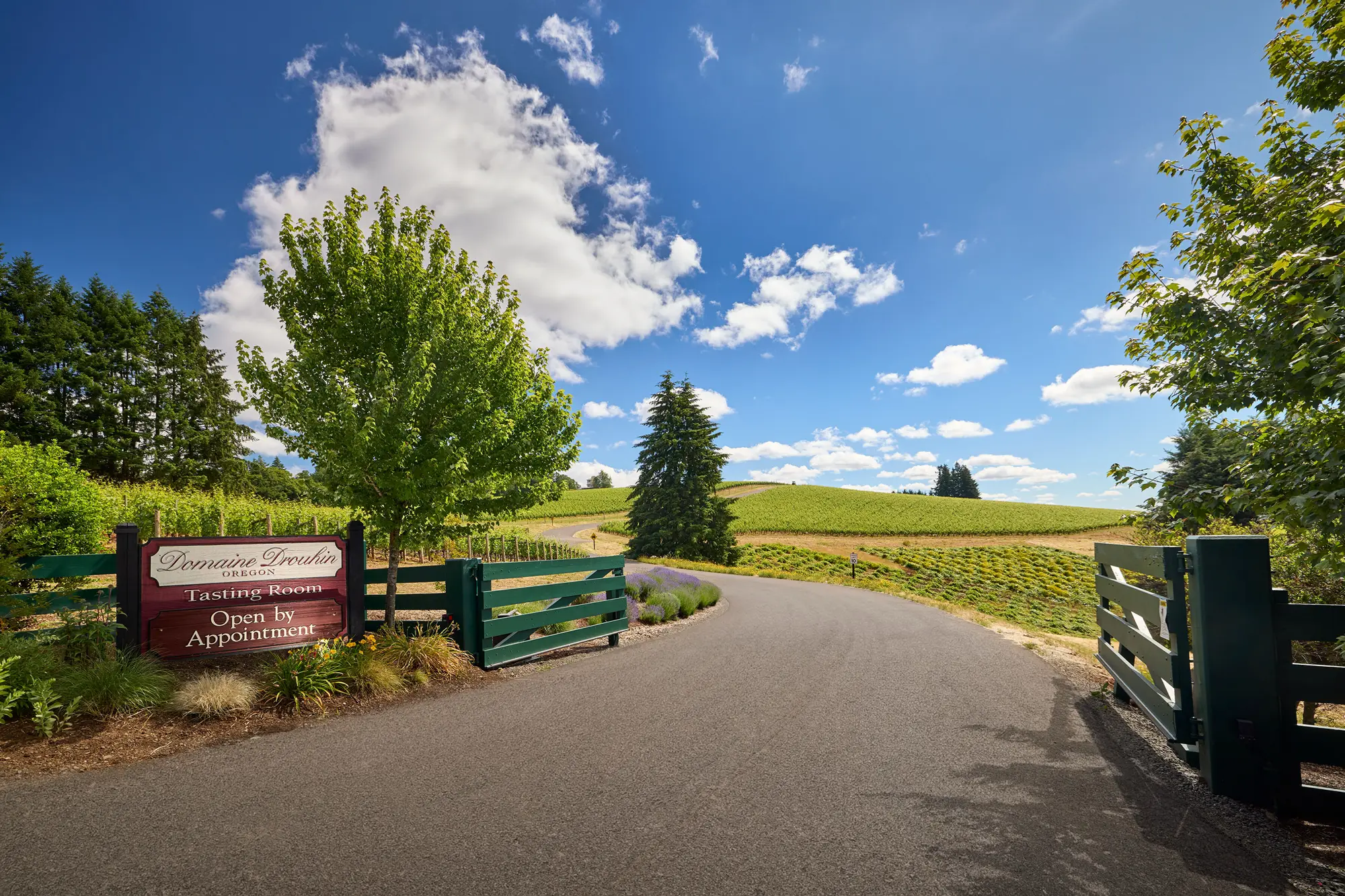 Domaine Drouhin Oregon