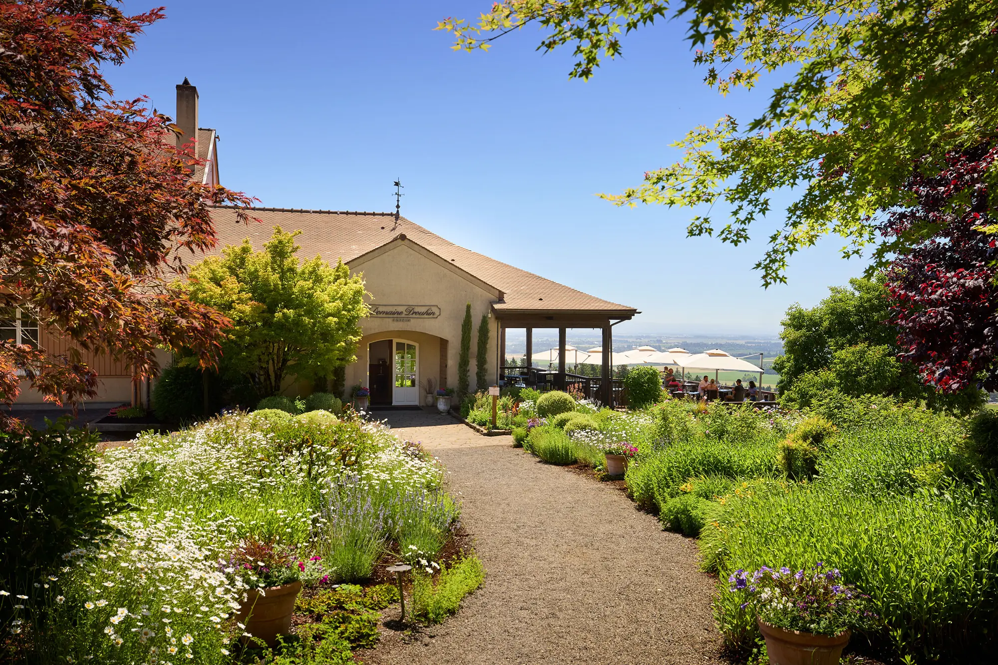 Domaine Drouhin Oregon