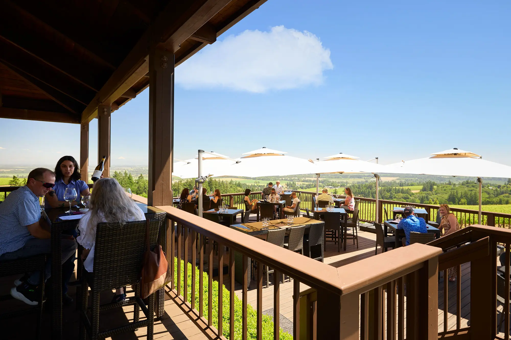 Domaine Drouhin Oregon