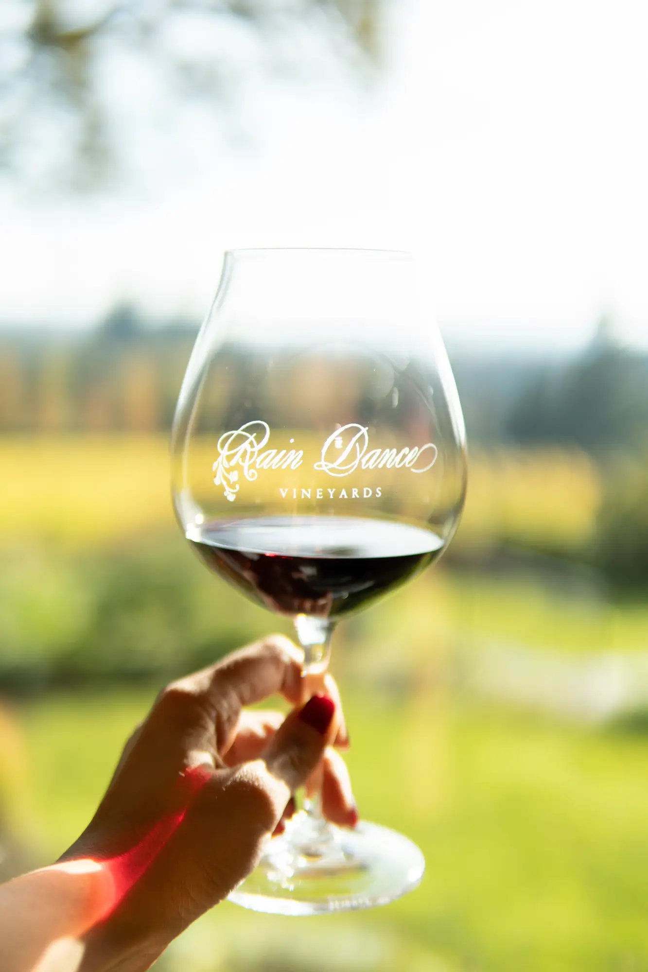 Rain Dance Vineyards
