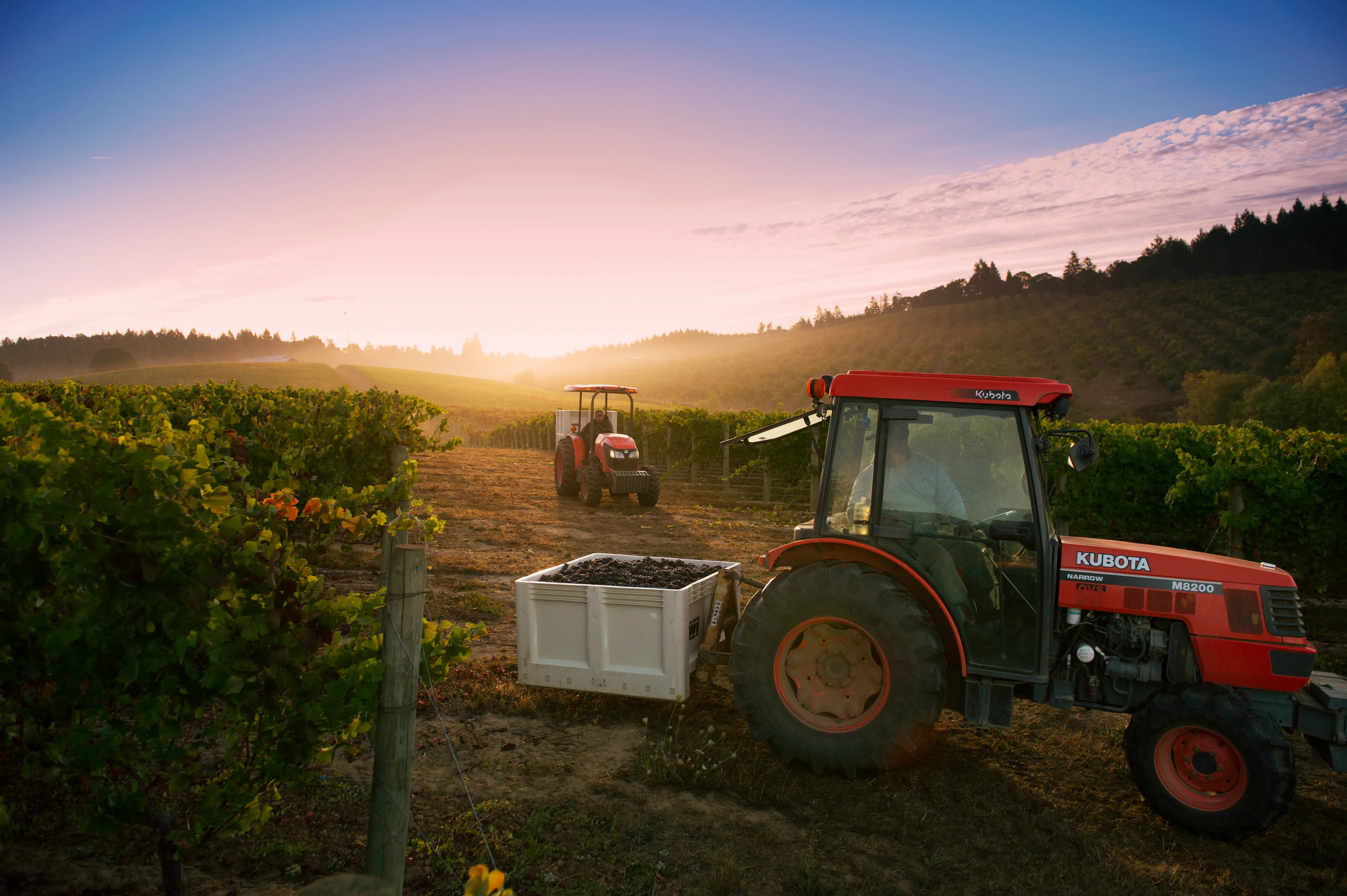 Shea Wine Cellars