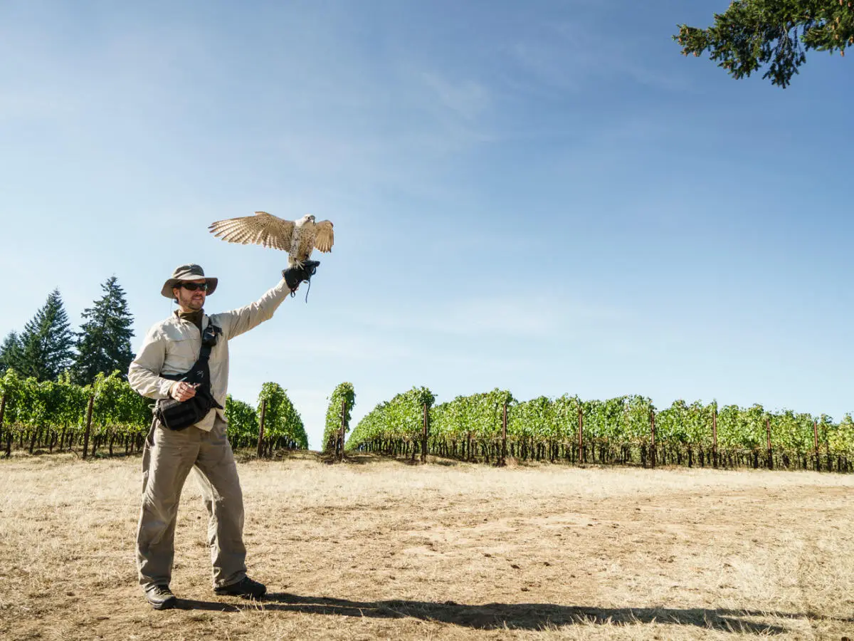 Soter Vineyards