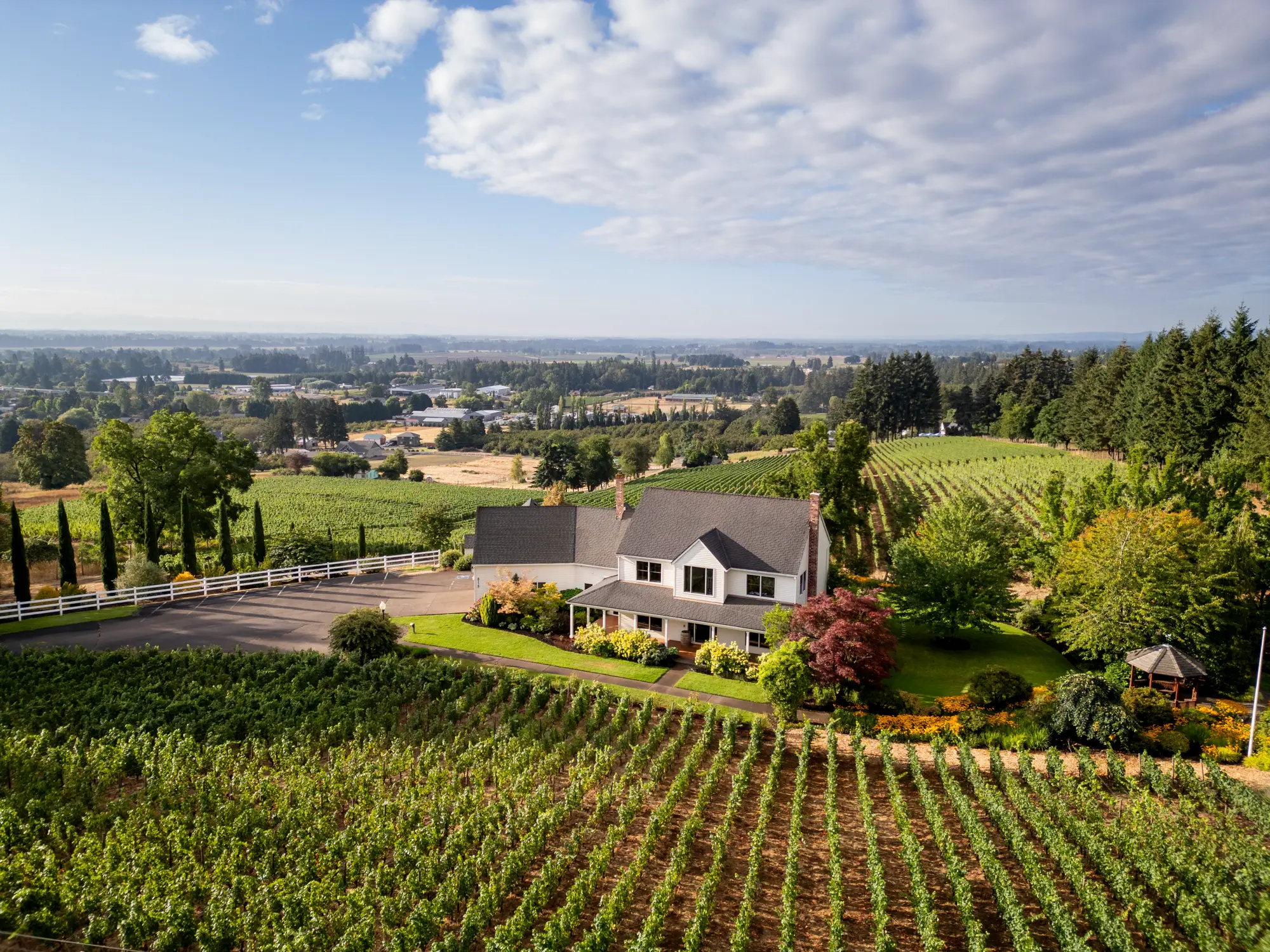 Bergström Wines