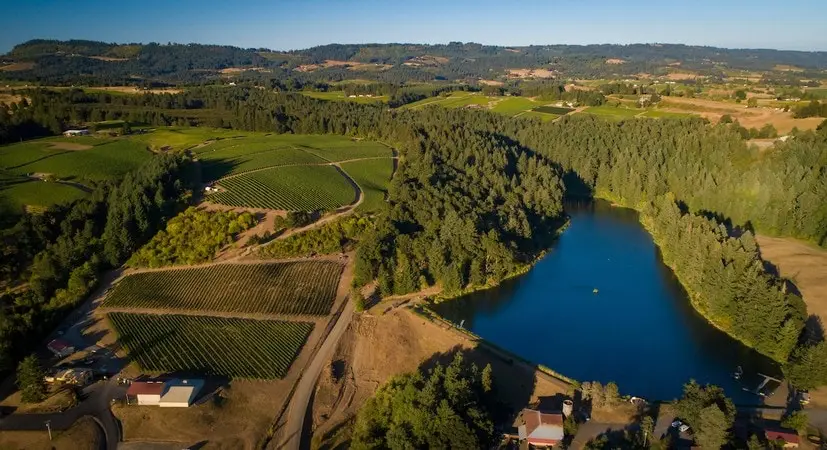 Patricia Green Vineyards