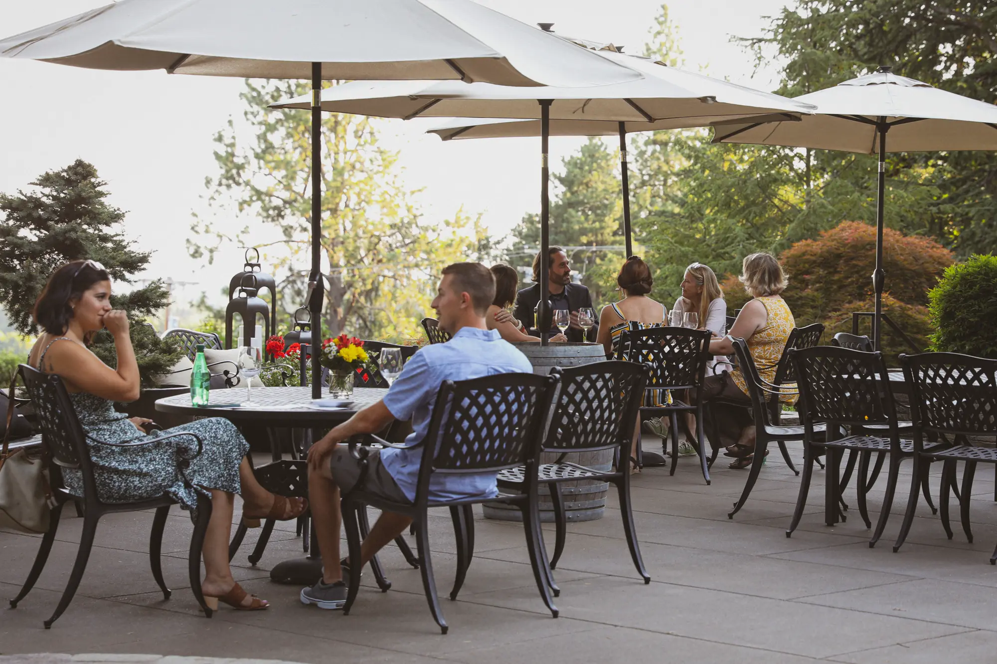 Rain Dance Vineyards