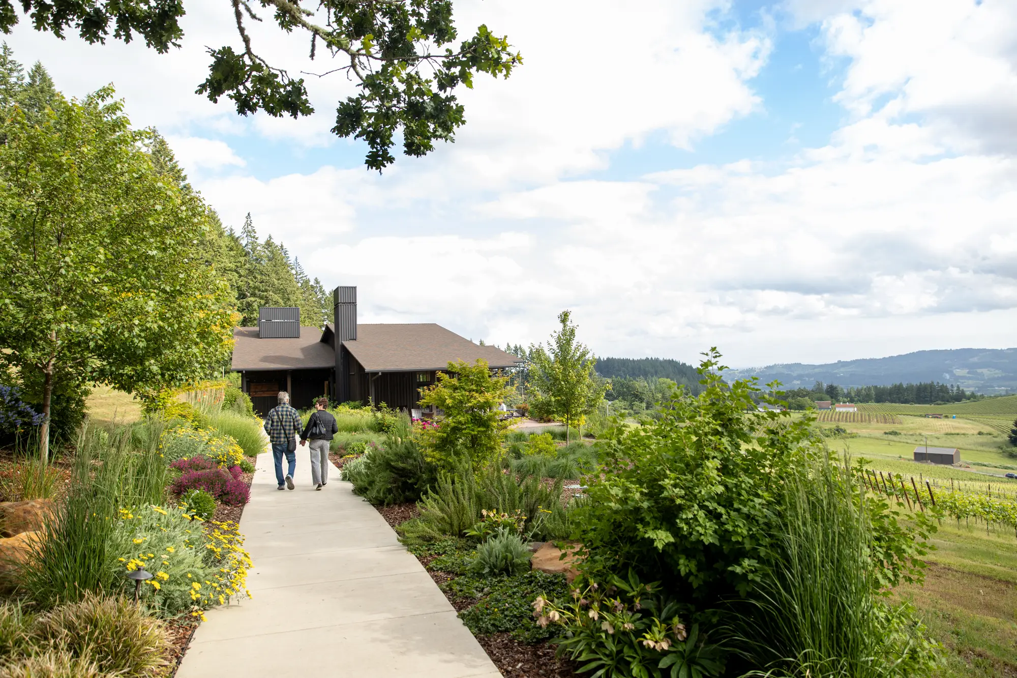 Jachter Family Wines