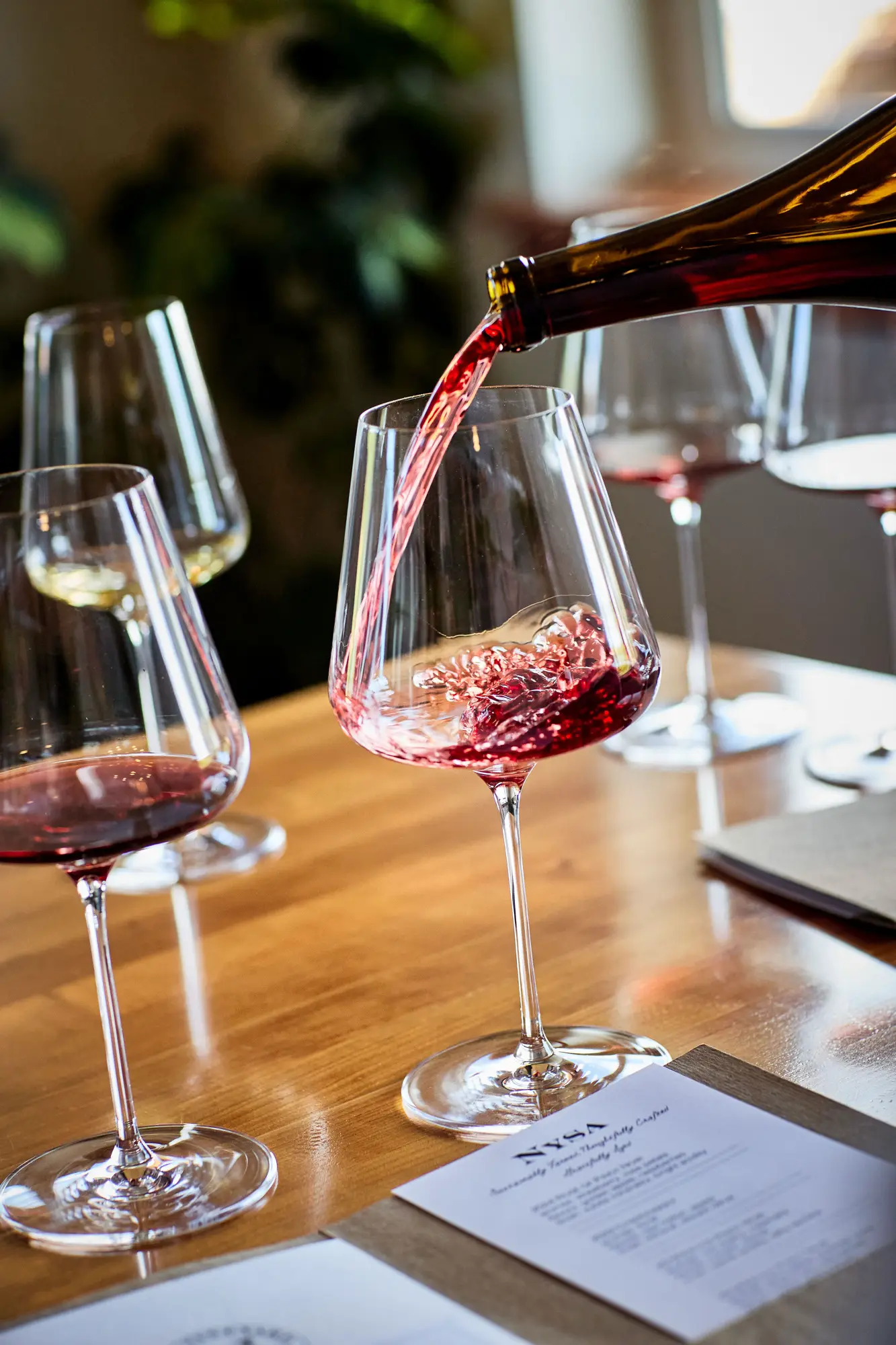 Nysa Vineyards