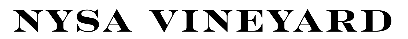 NYSA_VC Page