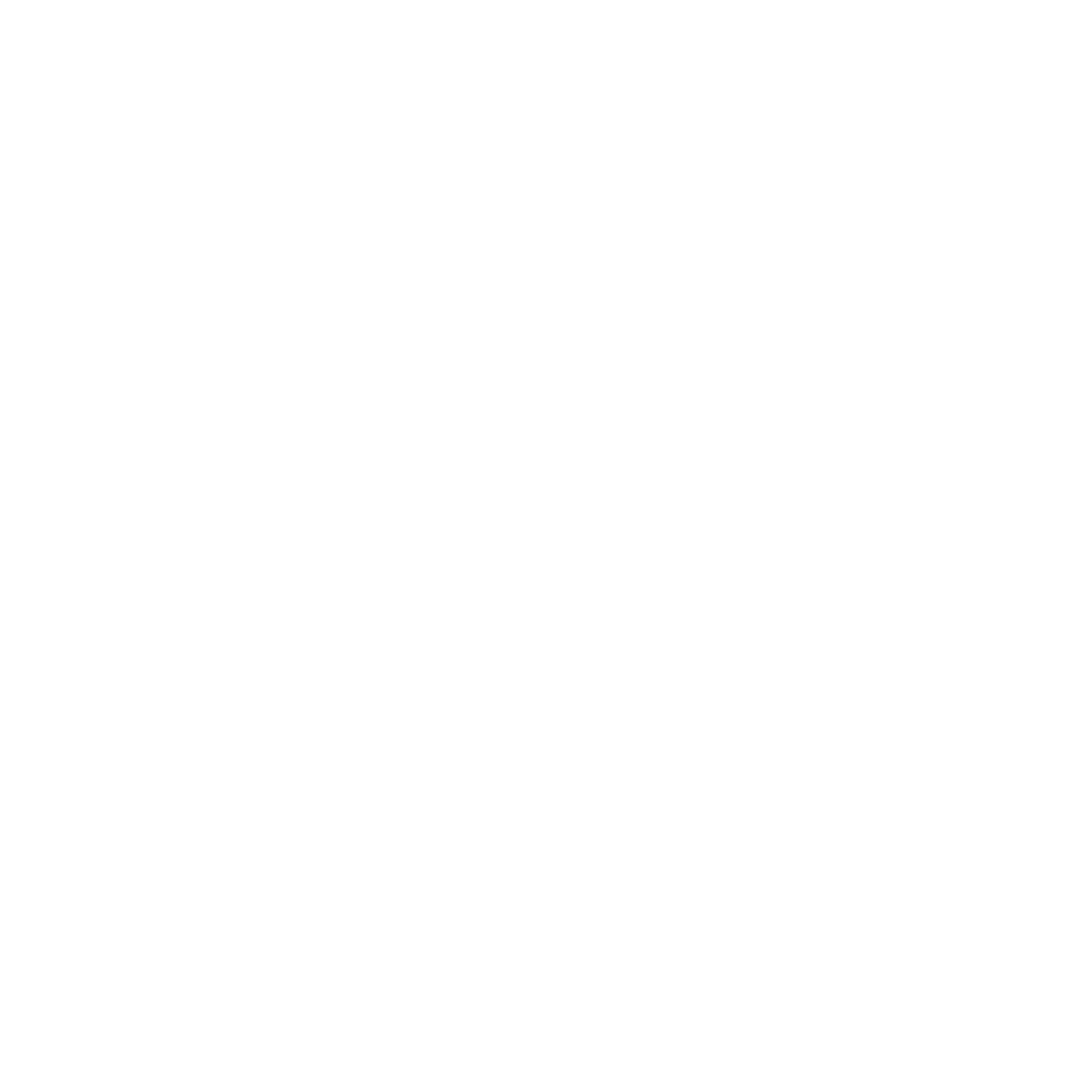 Salud logo